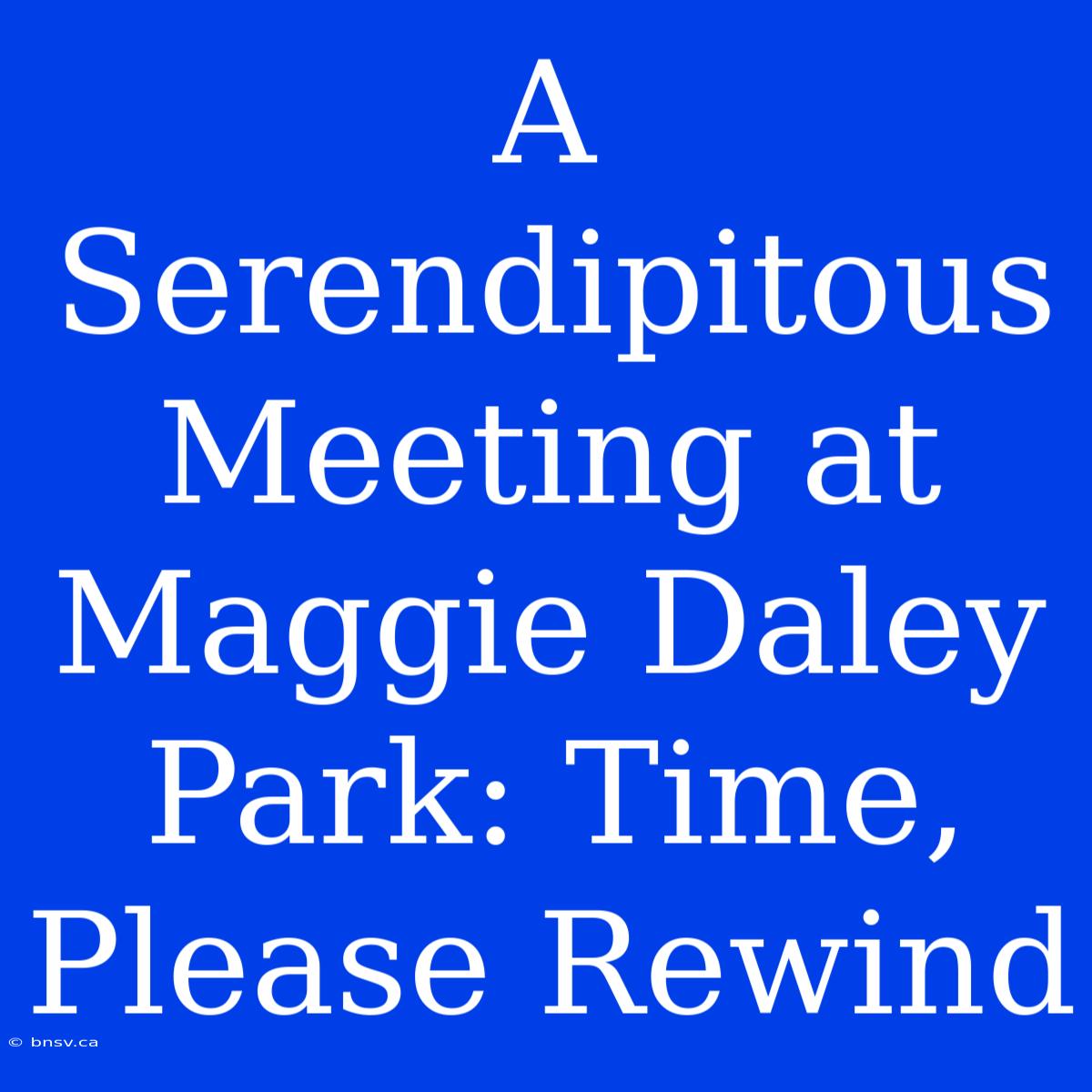 A Serendipitous Meeting At Maggie Daley Park: Time, Please Rewind