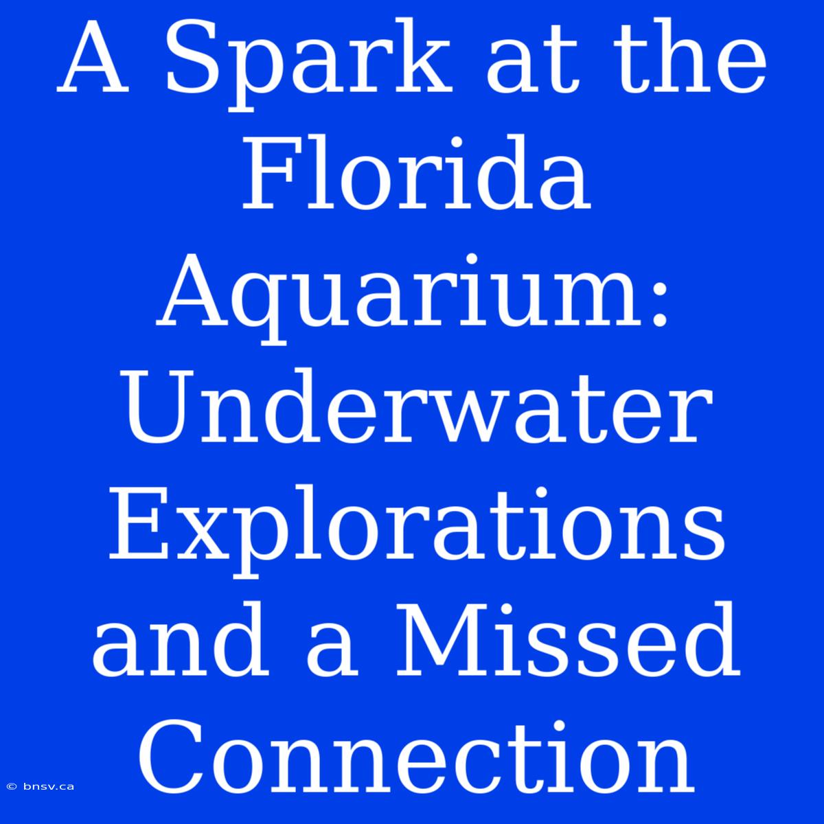 A Spark At The Florida Aquarium: Underwater Explorations And A Missed Connection