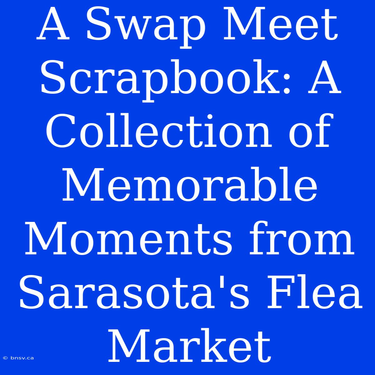 A Swap Meet Scrapbook: A Collection Of Memorable Moments From Sarasota's Flea Market