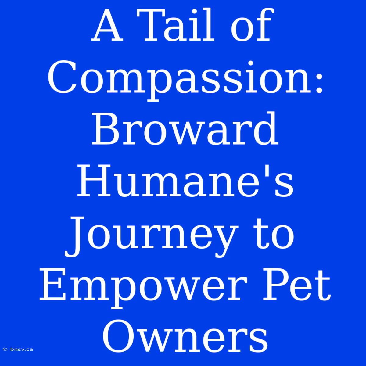 A Tail Of Compassion: Broward Humane's Journey To Empower Pet Owners