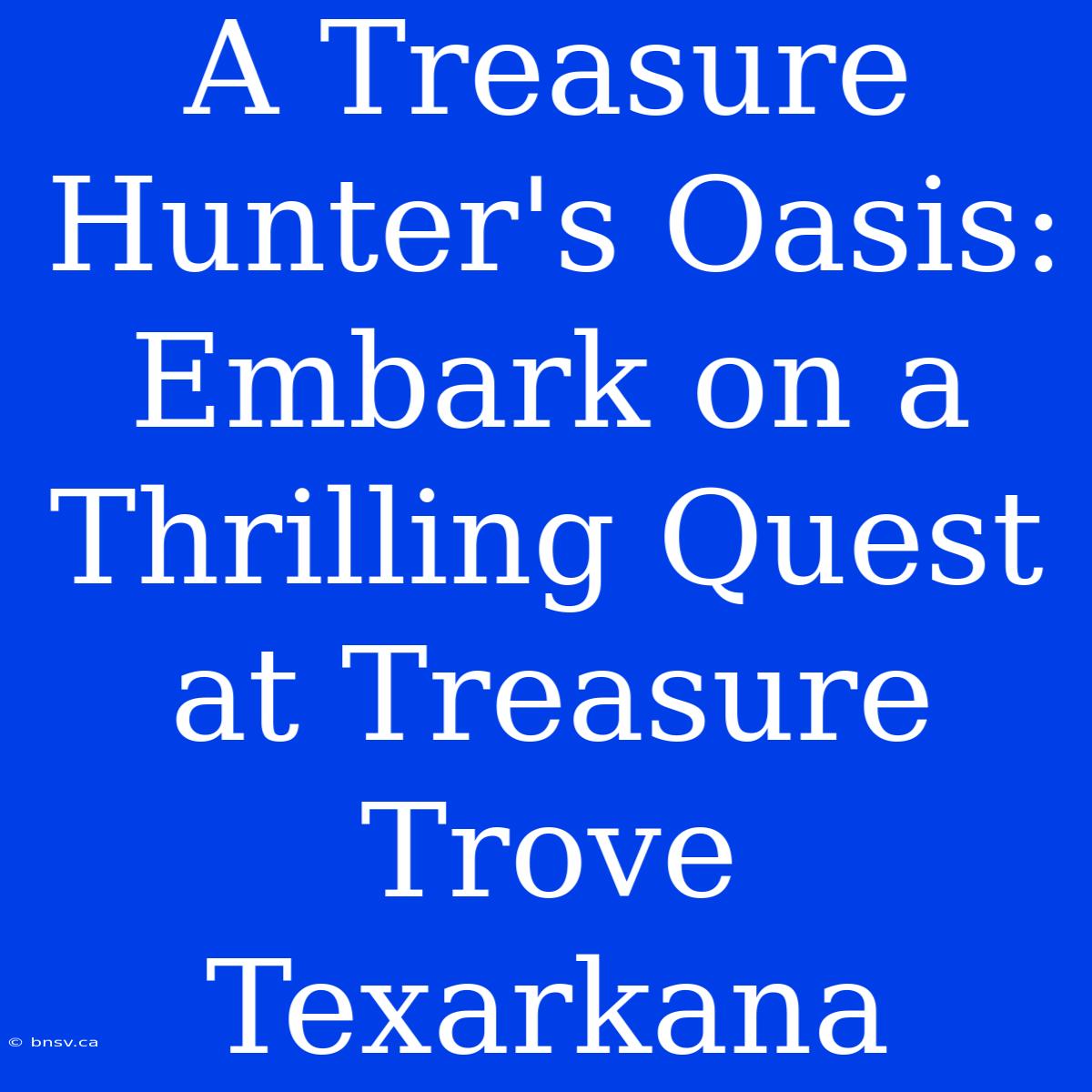 A Treasure Hunter's Oasis: Embark On A Thrilling Quest At Treasure Trove Texarkana