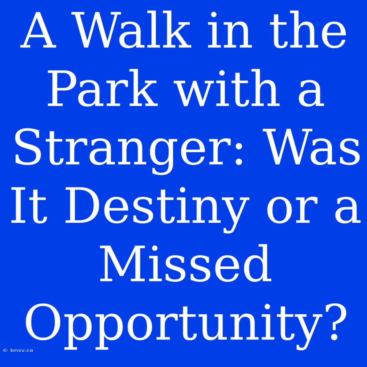 A Walk In The Park With A Stranger: Was It Destiny Or A Missed Opportunity?