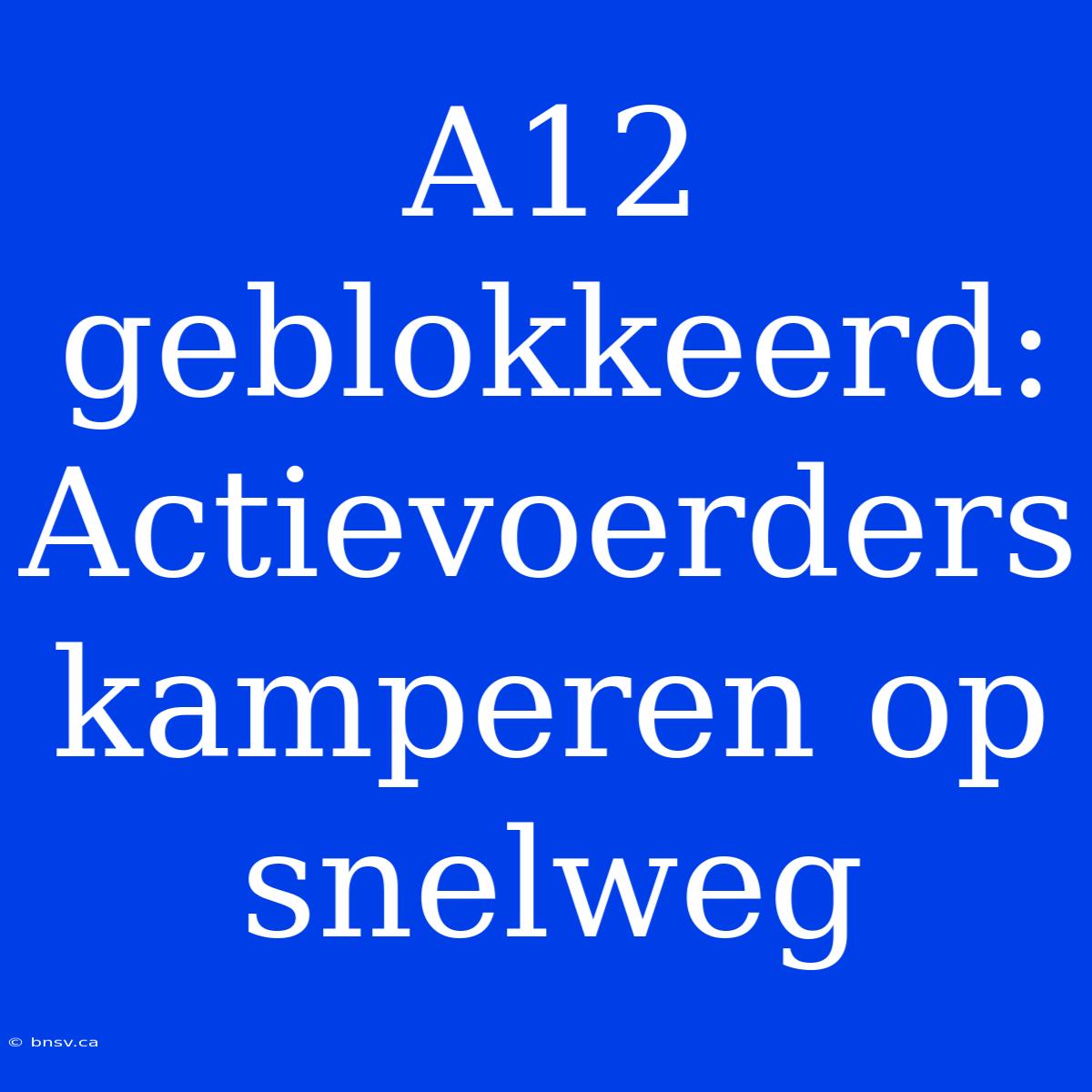 A12 Geblokkeerd: Actievoerders Kamperen Op Snelweg