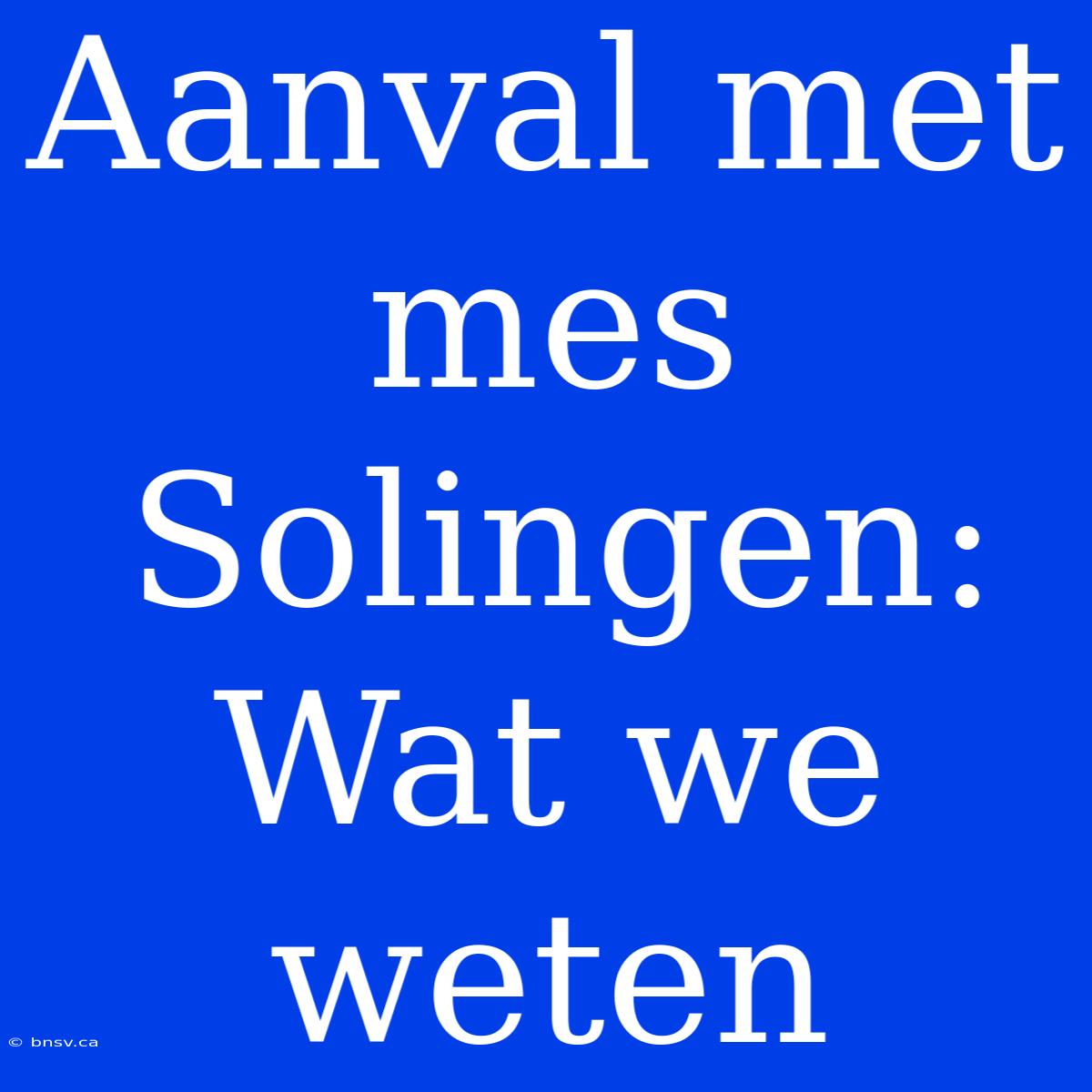 Aanval Met Mes Solingen: Wat We Weten