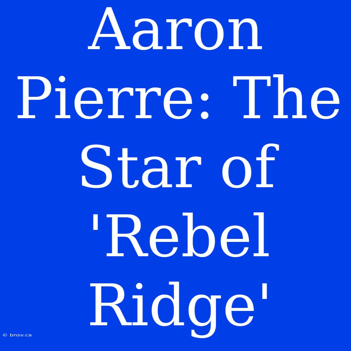 Aaron Pierre: The Star Of 'Rebel Ridge'