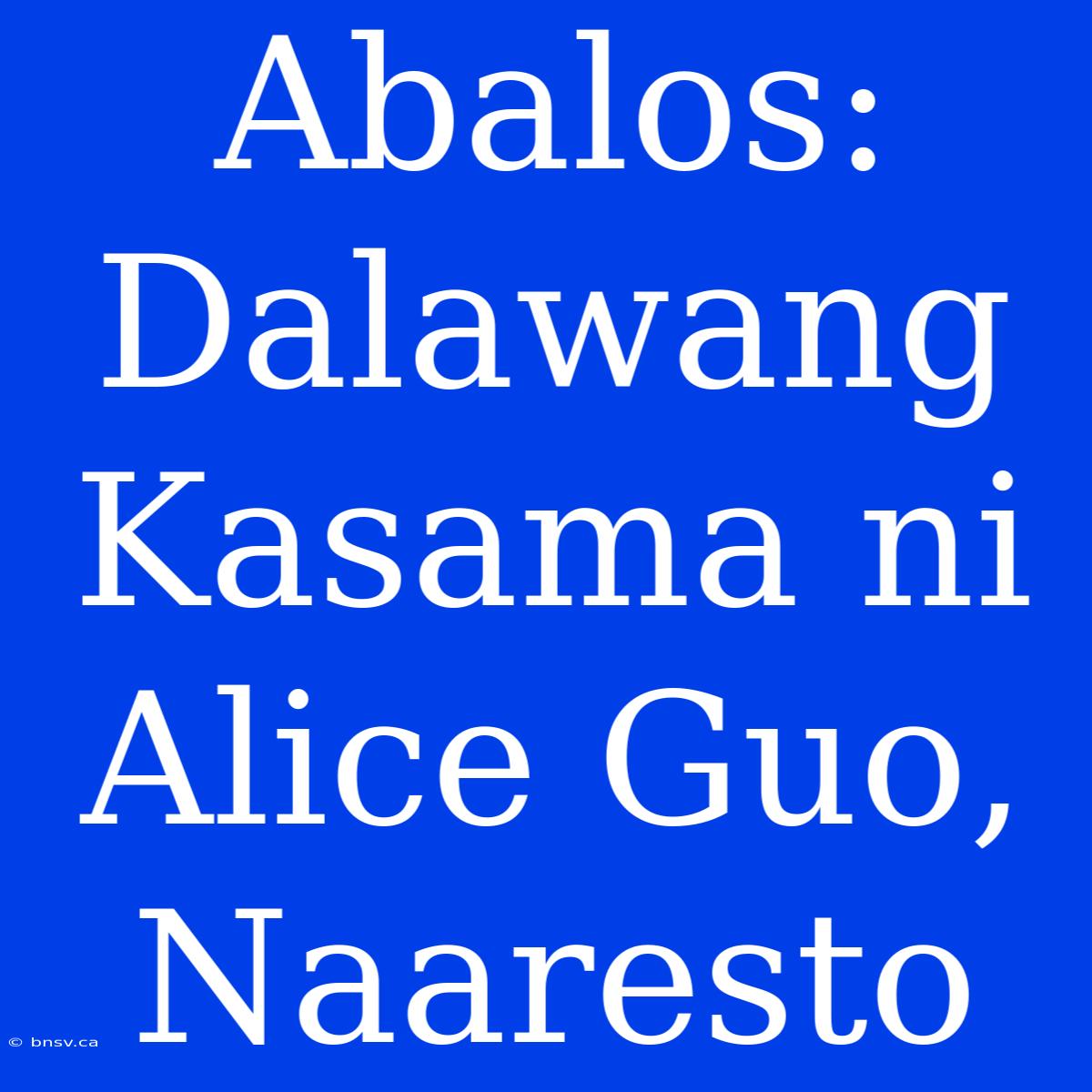 Abalos: Dalawang Kasama Ni Alice Guo, Naaresto