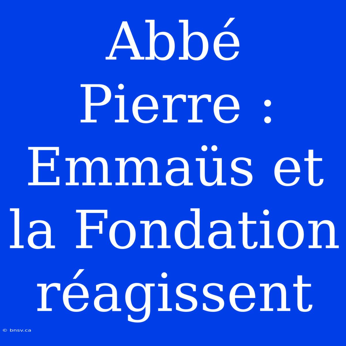 Abbé Pierre : Emmaüs Et La Fondation Réagissent