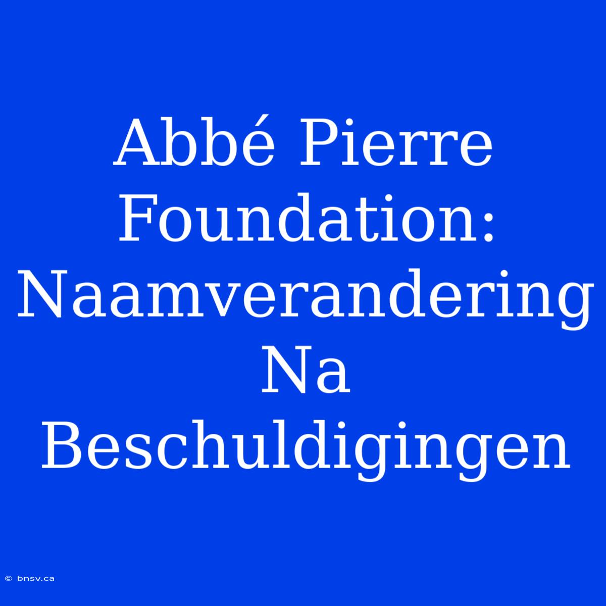 Abbé Pierre Foundation: Naamverandering Na Beschuldigingen