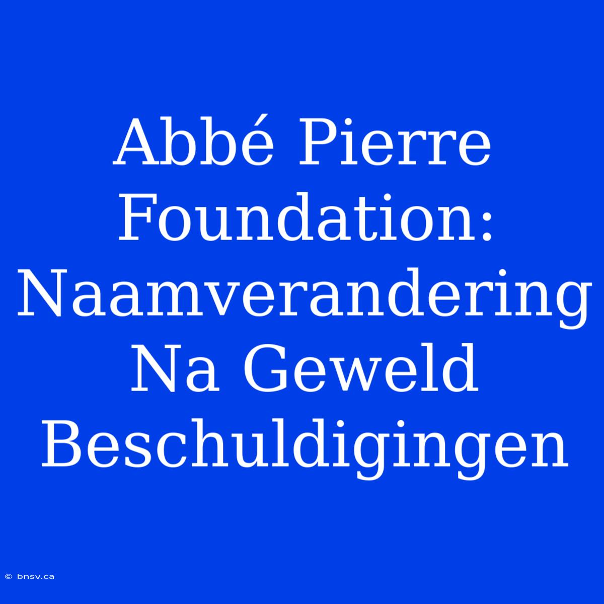 Abbé Pierre Foundation:  Naamverandering Na Geweld Beschuldigingen