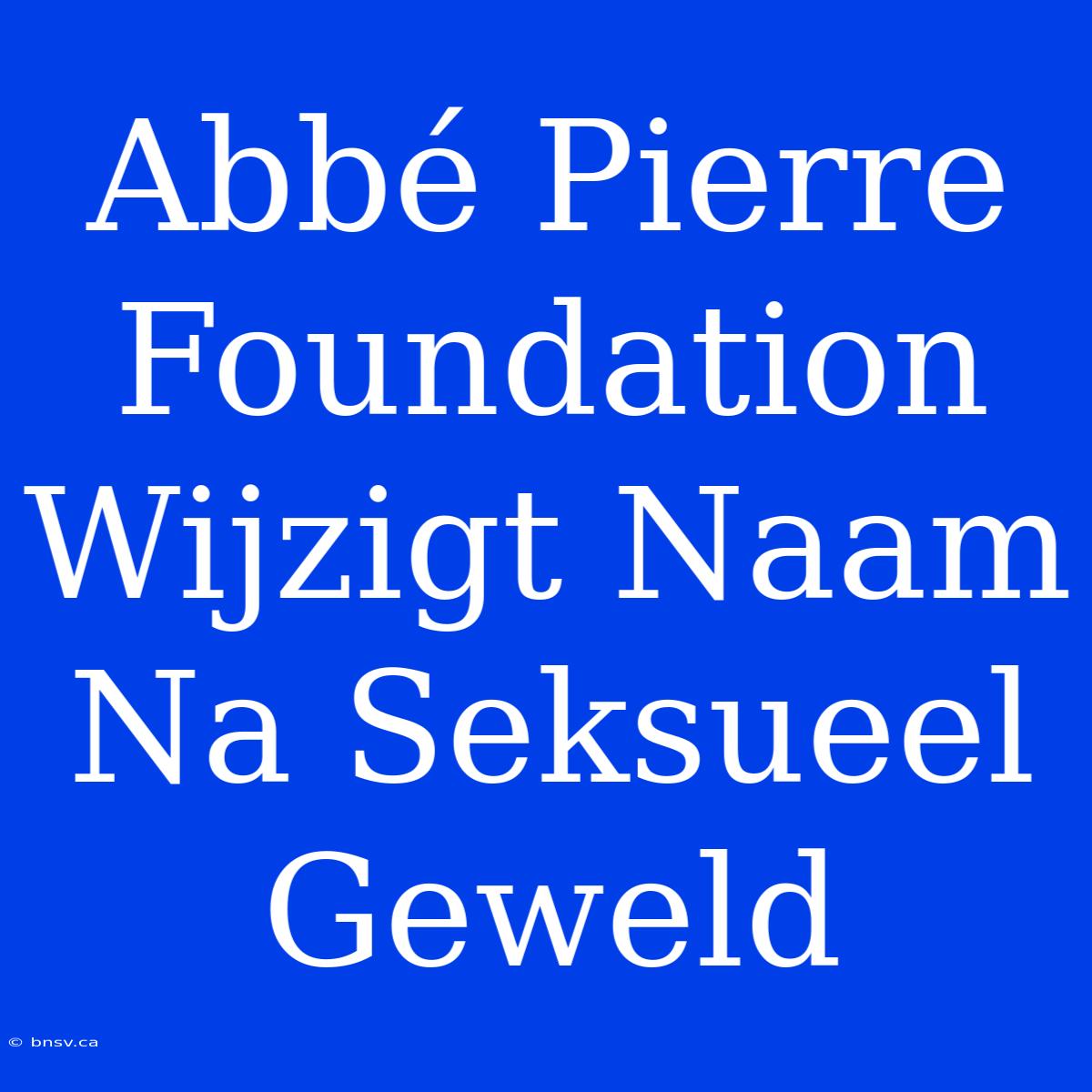 Abbé Pierre Foundation Wijzigt Naam Na Seksueel Geweld