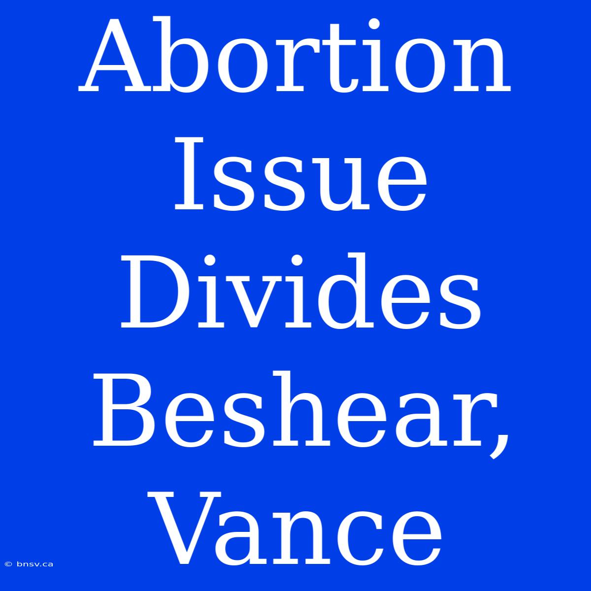 Abortion Issue Divides Beshear, Vance