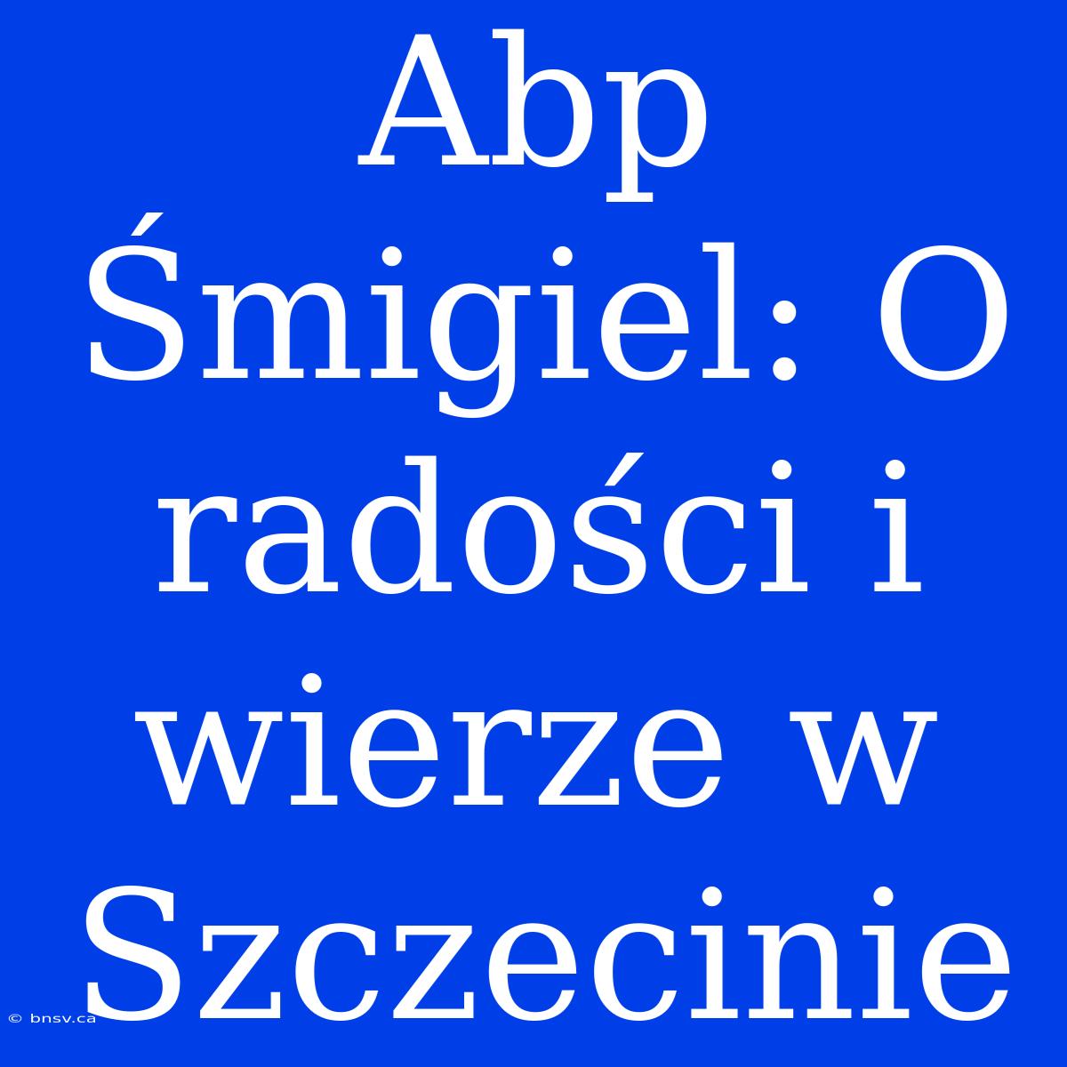 Abp Śmigiel: O Radości I Wierze W Szczecinie