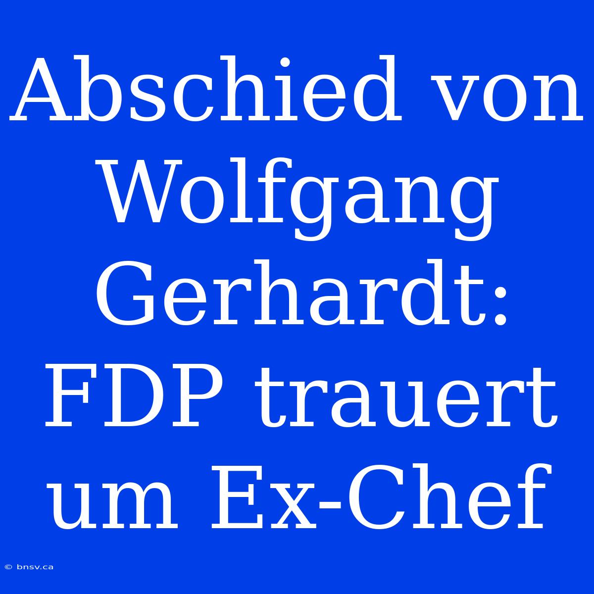 Abschied Von Wolfgang Gerhardt: FDP Trauert Um Ex-Chef