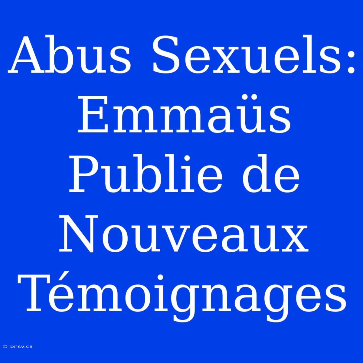 Abus Sexuels: Emmaüs Publie De Nouveaux Témoignages