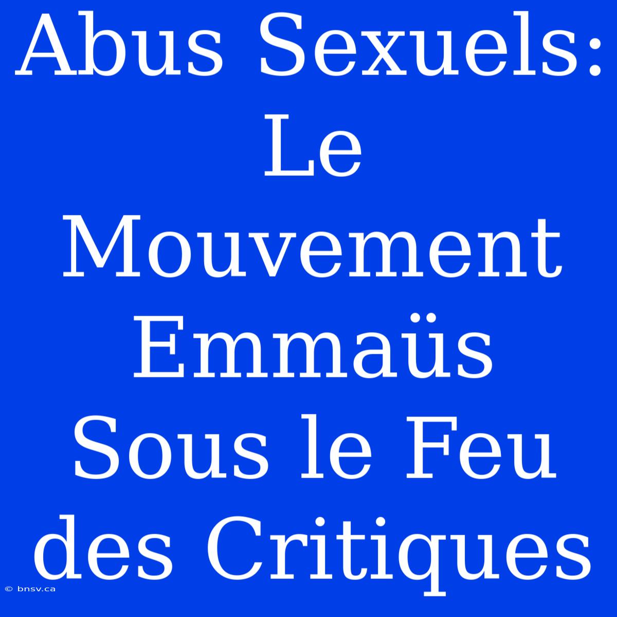 Abus Sexuels: Le Mouvement Emmaüs Sous Le Feu Des Critiques