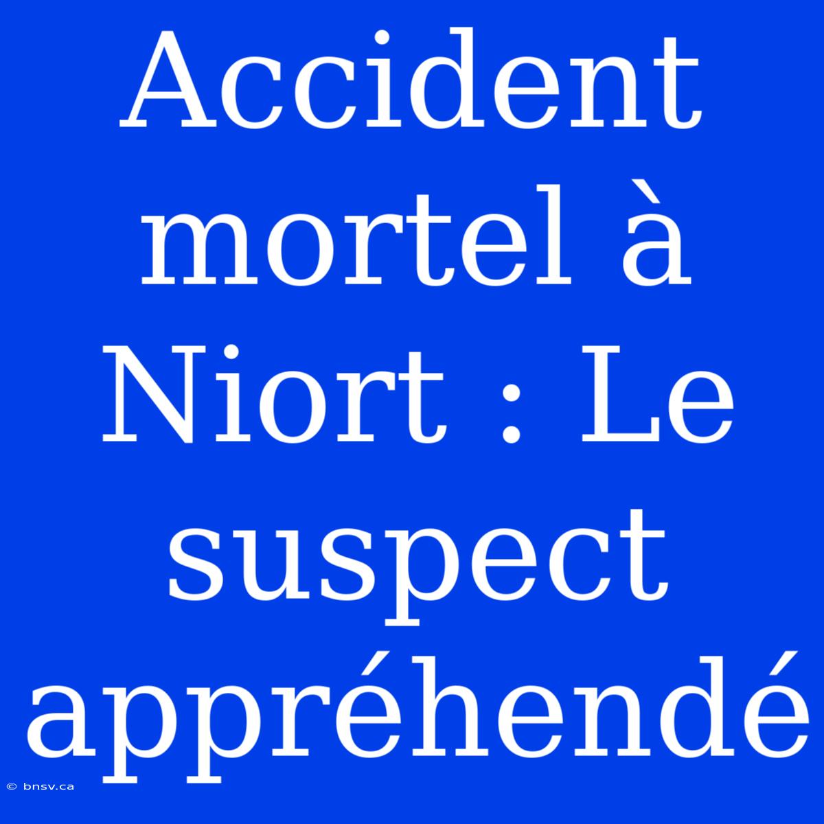 Accident Mortel À Niort : Le Suspect Appréhendé