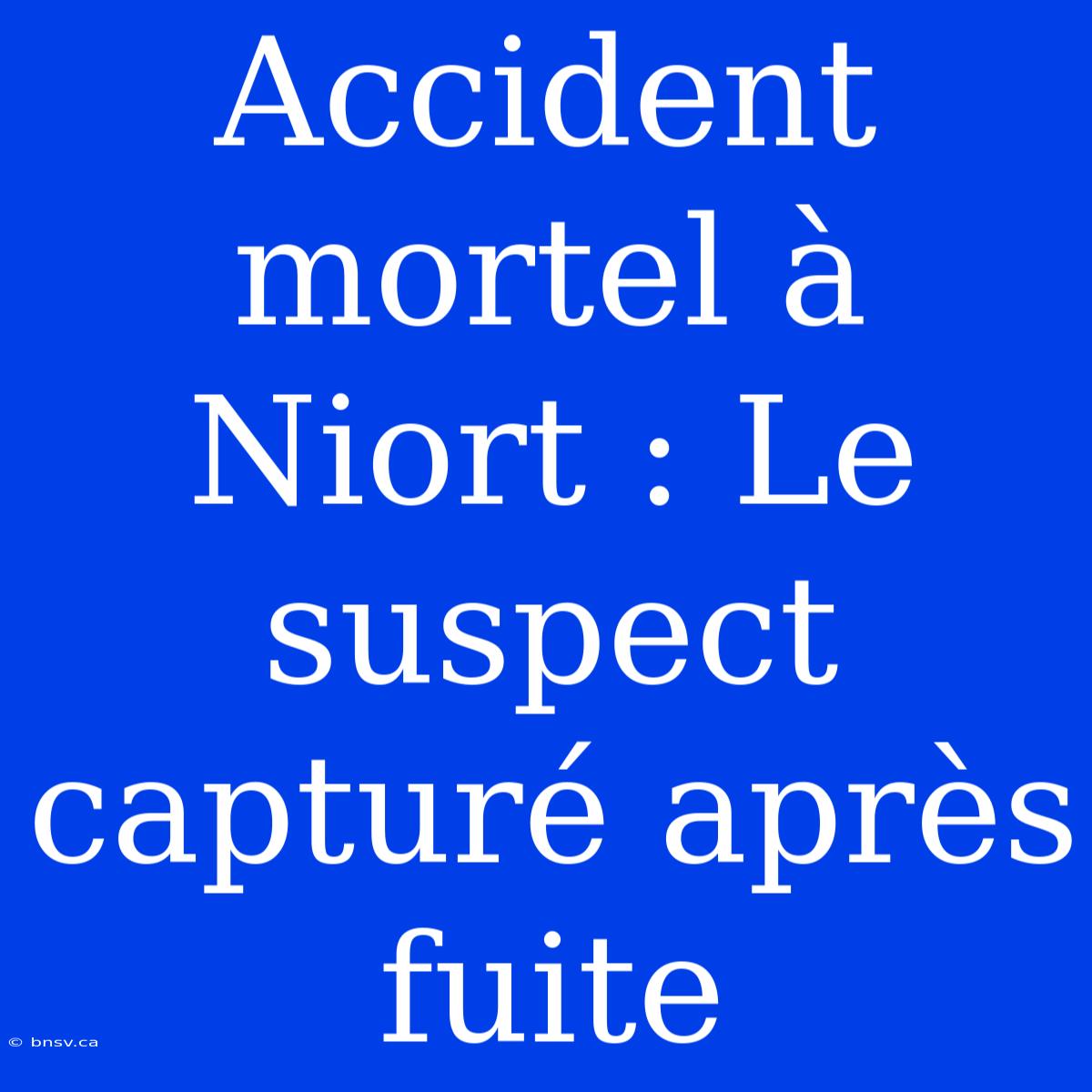 Accident Mortel À Niort : Le Suspect Capturé Après Fuite