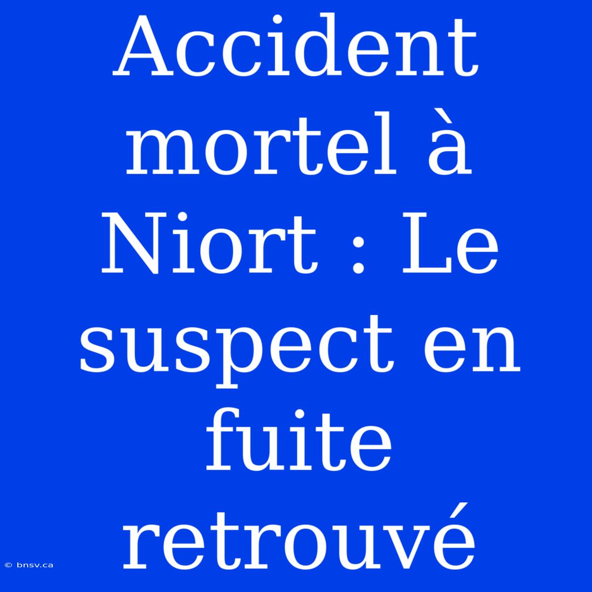 Accident Mortel À Niort : Le Suspect En Fuite Retrouvé