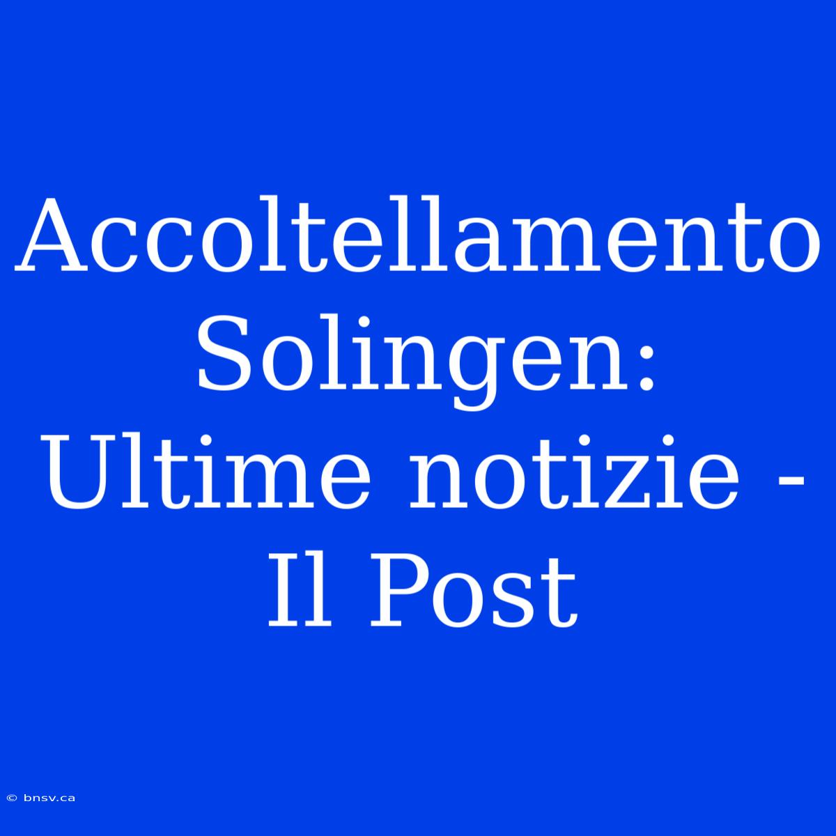 Accoltellamento Solingen: Ultime Notizie - Il Post