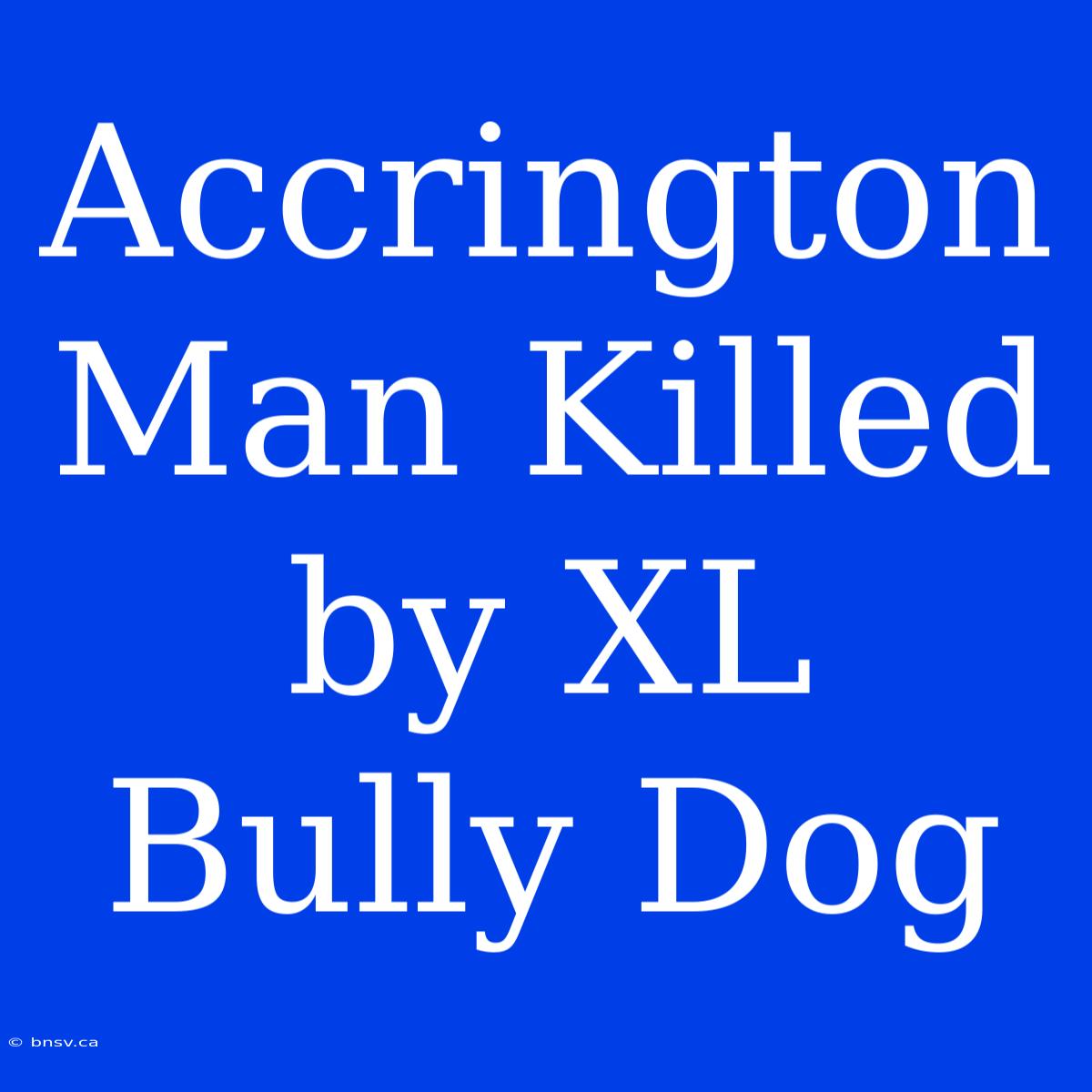 Accrington Man Killed By XL Bully Dog