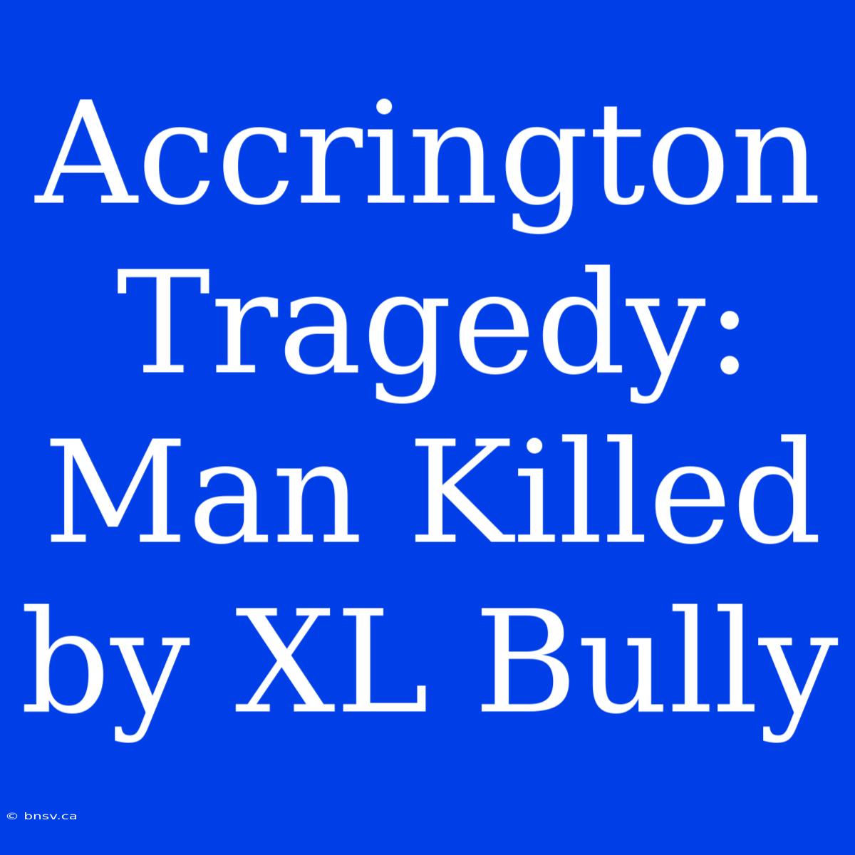 Accrington Tragedy: Man Killed By XL Bully