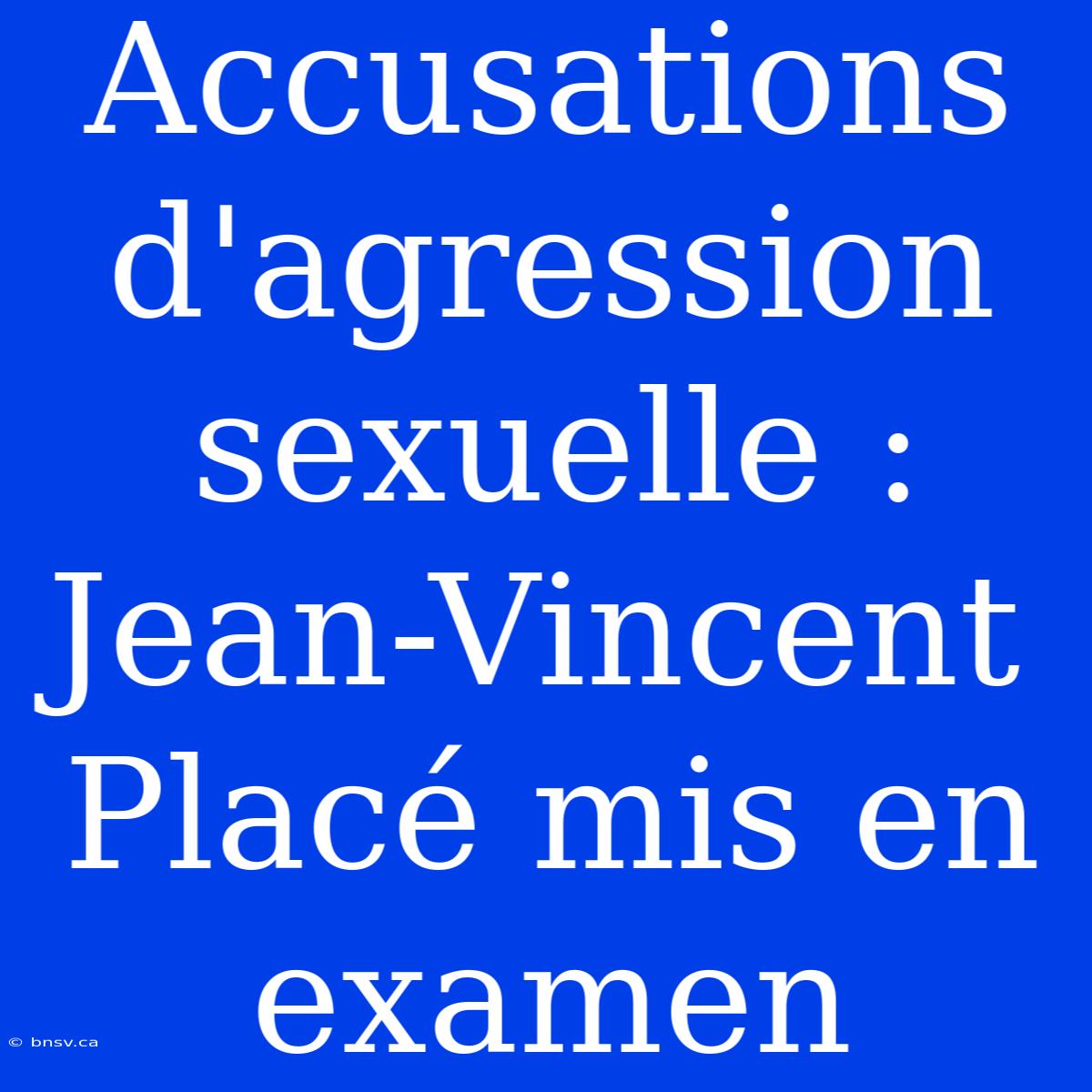 Accusations D'agression Sexuelle : Jean-Vincent Placé Mis En Examen