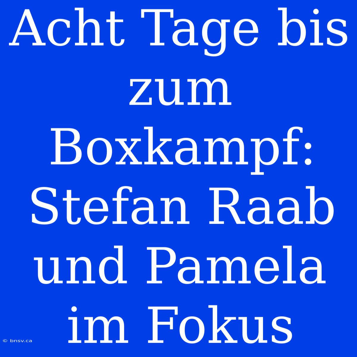 Acht Tage Bis Zum Boxkampf: Stefan Raab Und Pamela Im Fokus