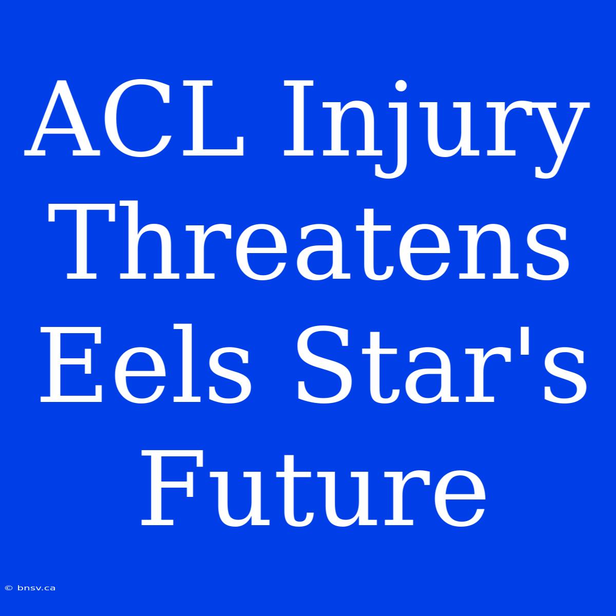 ACL Injury Threatens Eels Star's Future