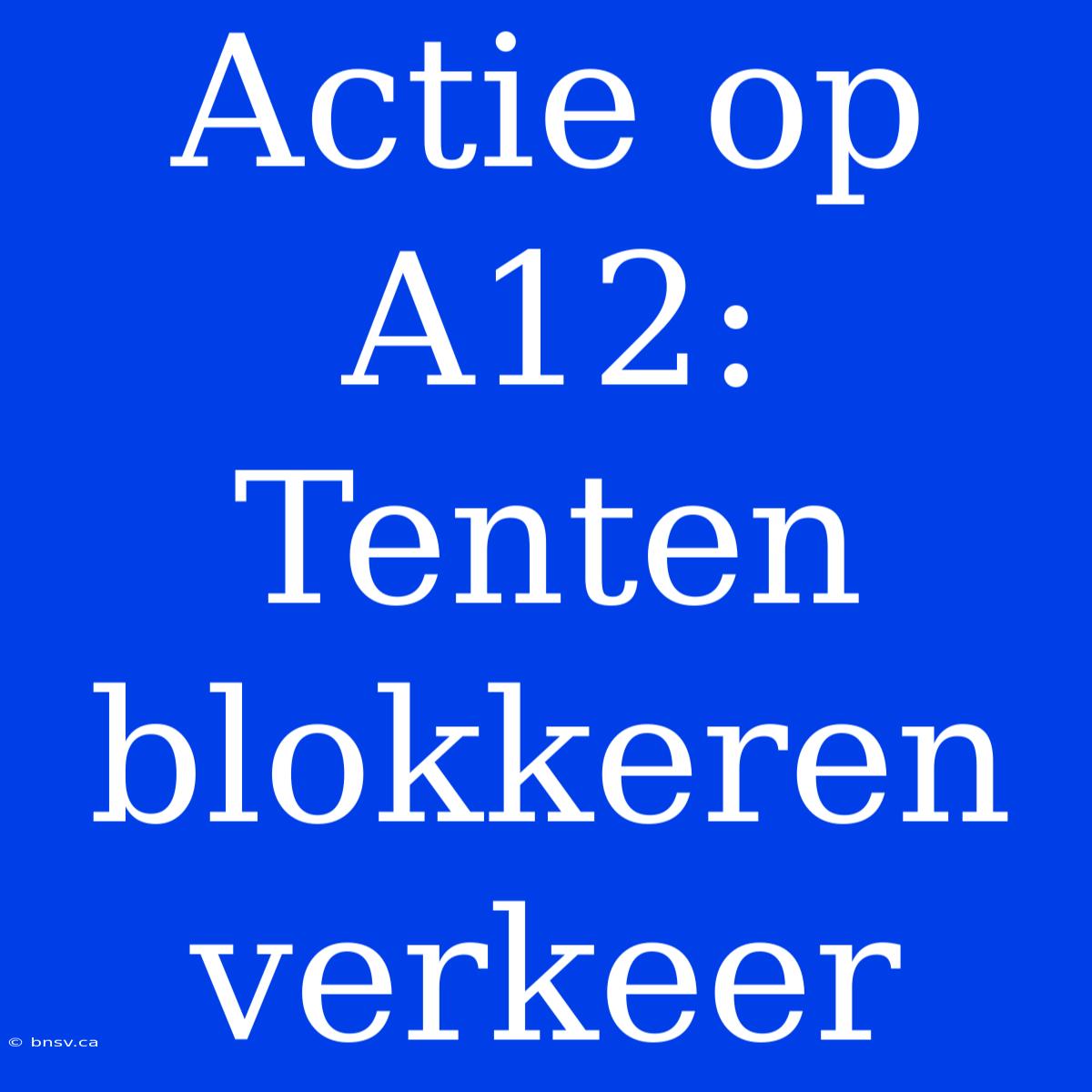 Actie Op A12: Tenten Blokkeren Verkeer