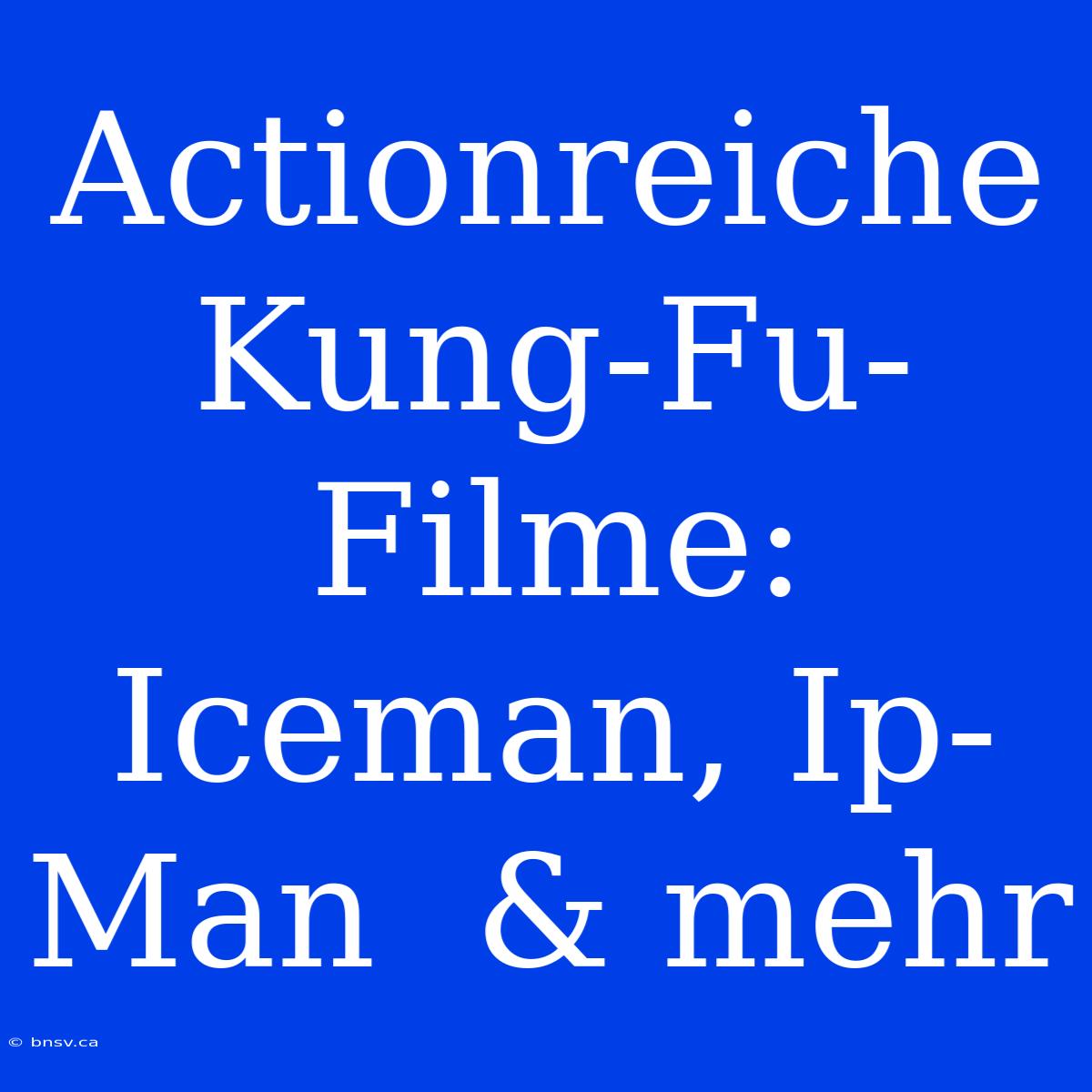 Actionreiche  Kung-Fu-Filme:  Iceman, Ip-Man  & Mehr