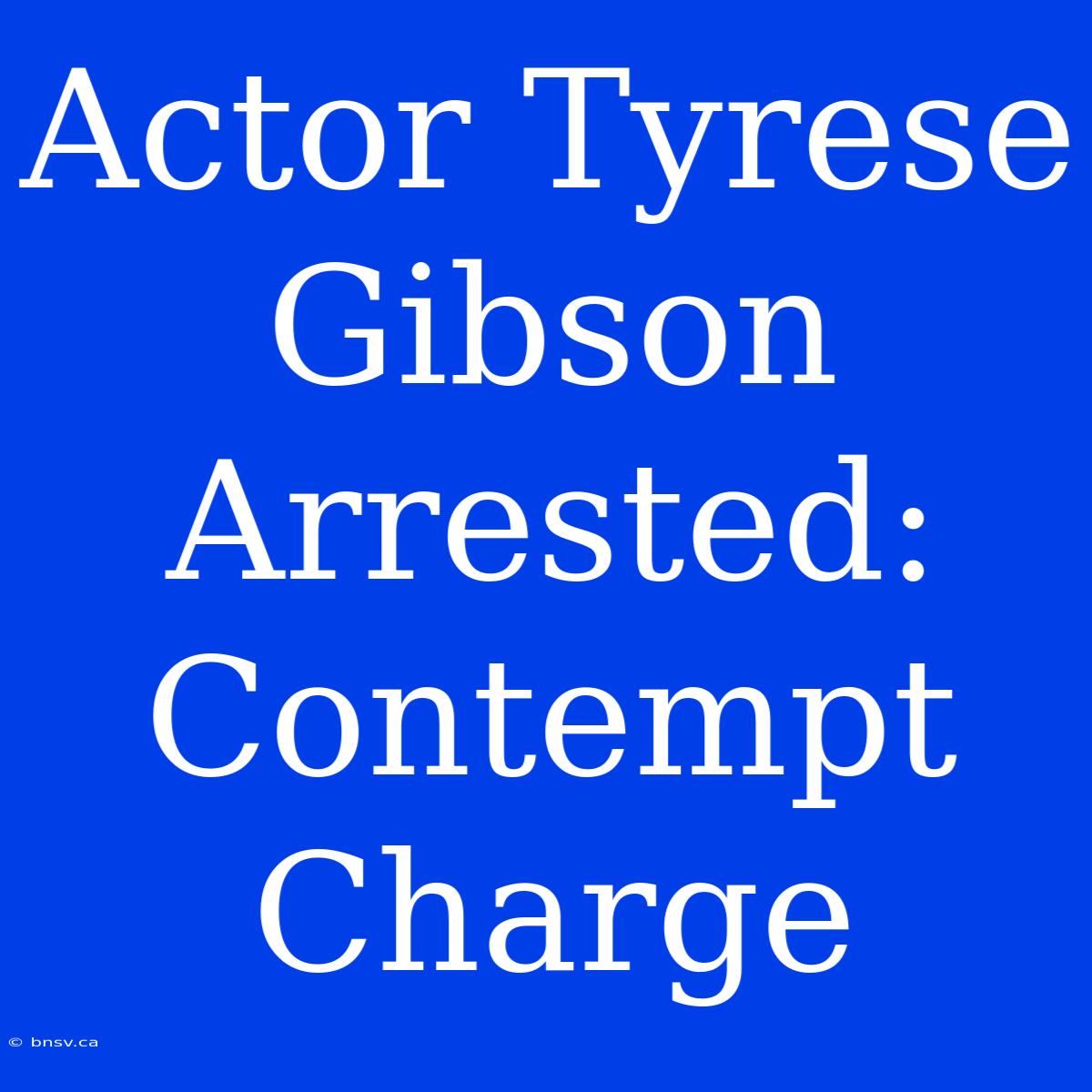 Actor Tyrese Gibson Arrested: Contempt Charge