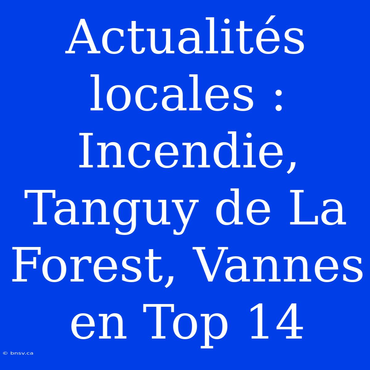 Actualités Locales : Incendie, Tanguy De La Forest, Vannes En Top 14