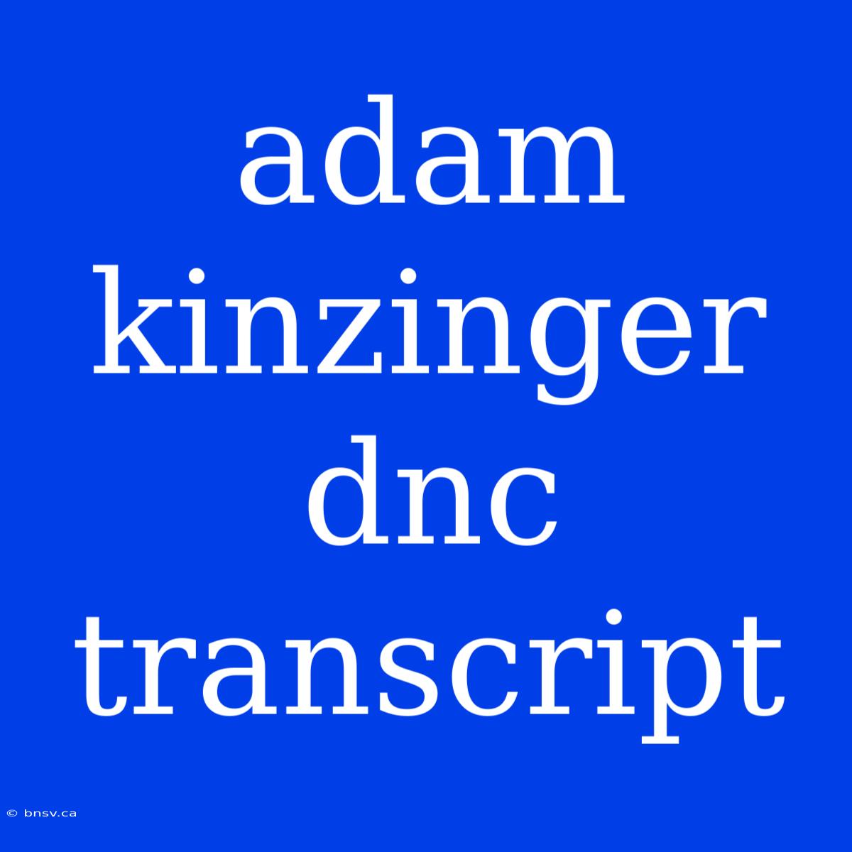 Adam Kinzinger Dnc Transcript