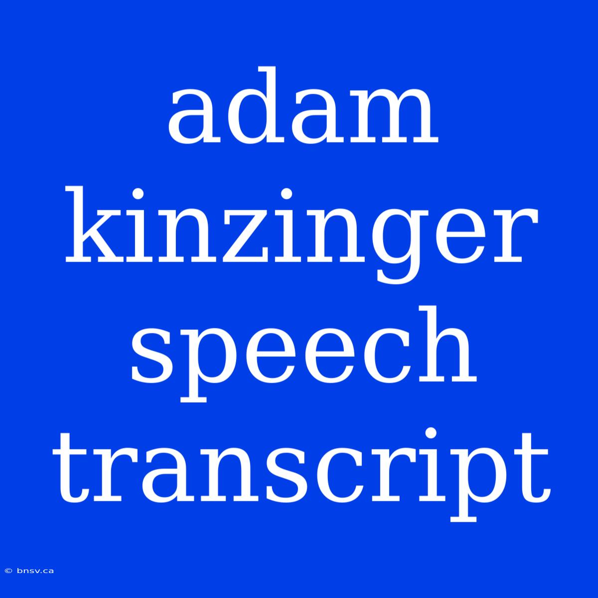 Adam Kinzinger Speech Transcript