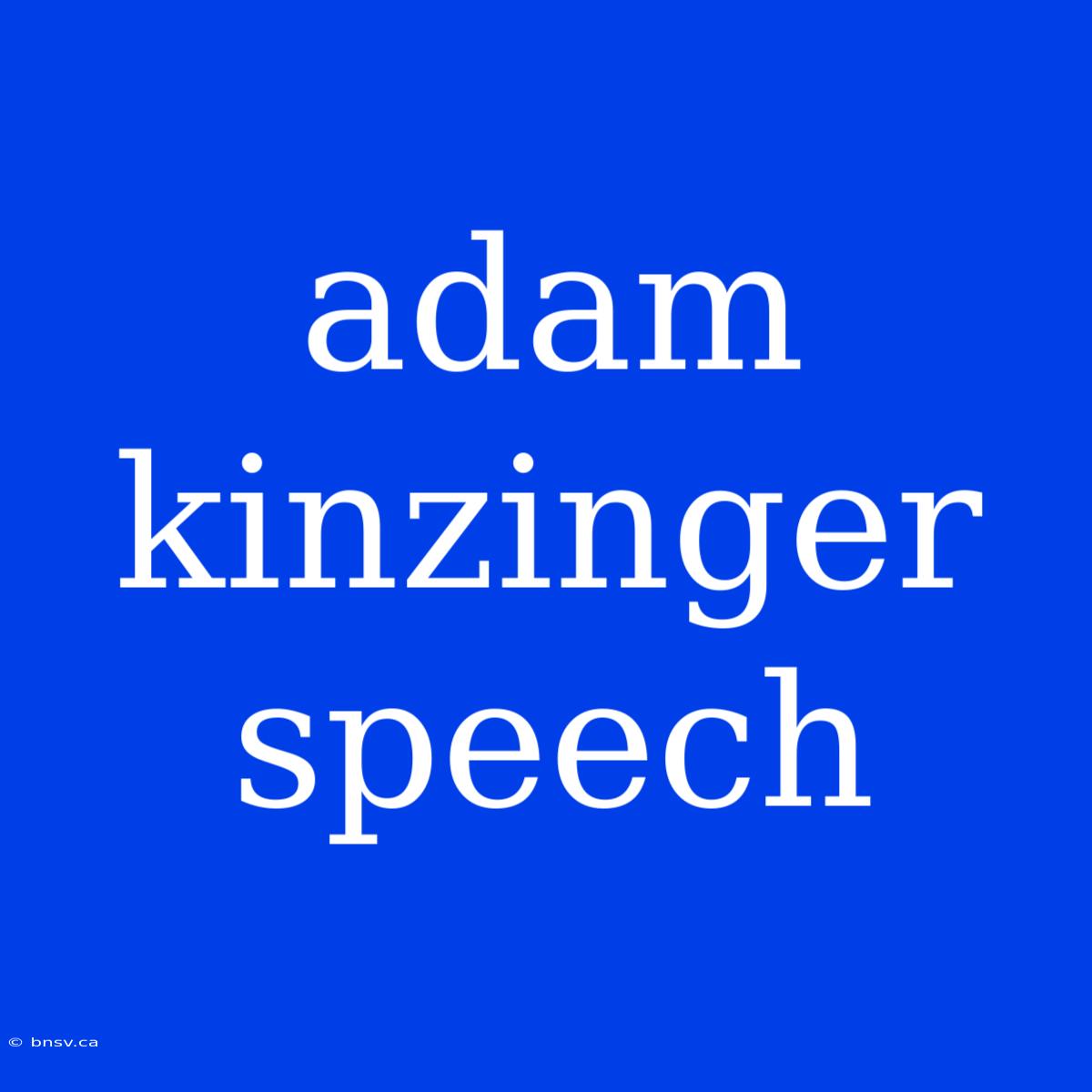 Adam Kinzinger Speech