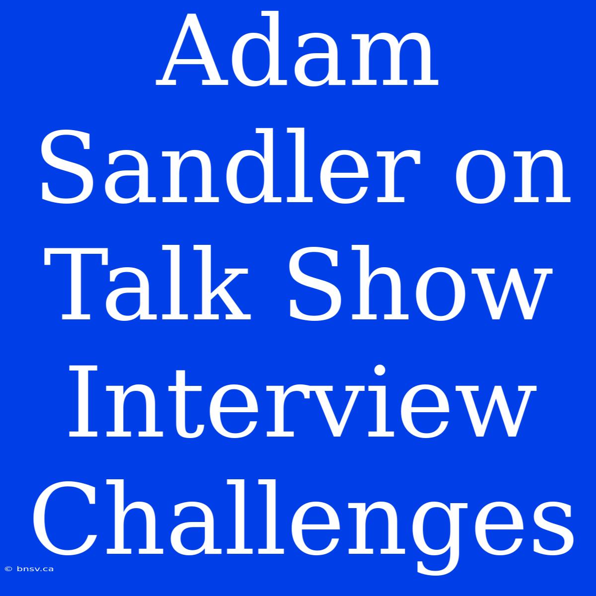 Adam Sandler On Talk Show Interview Challenges