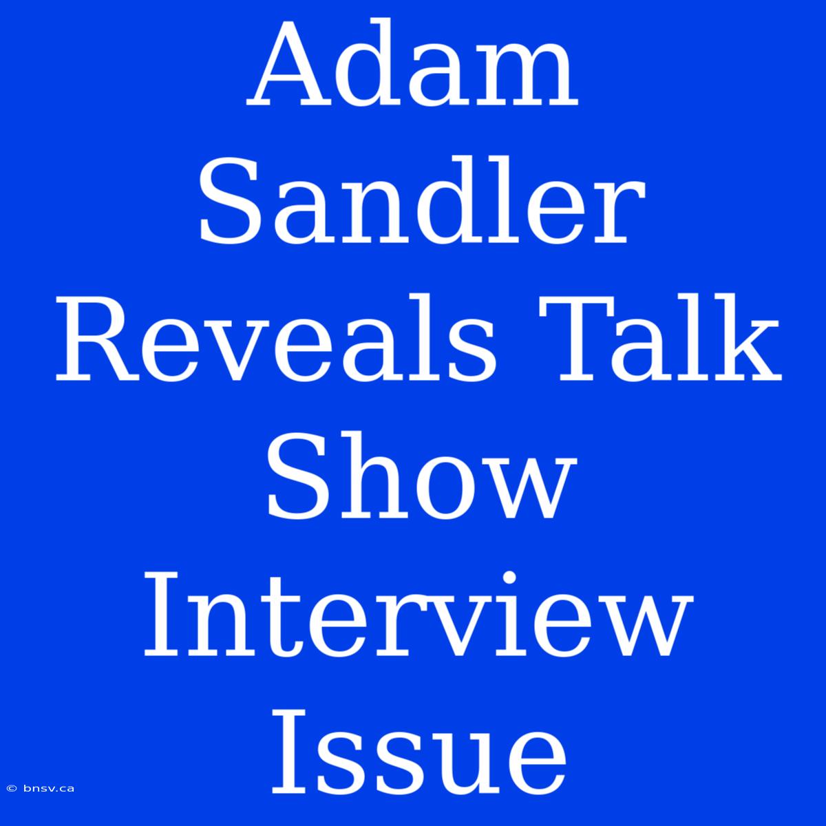 Adam Sandler Reveals Talk Show Interview Issue