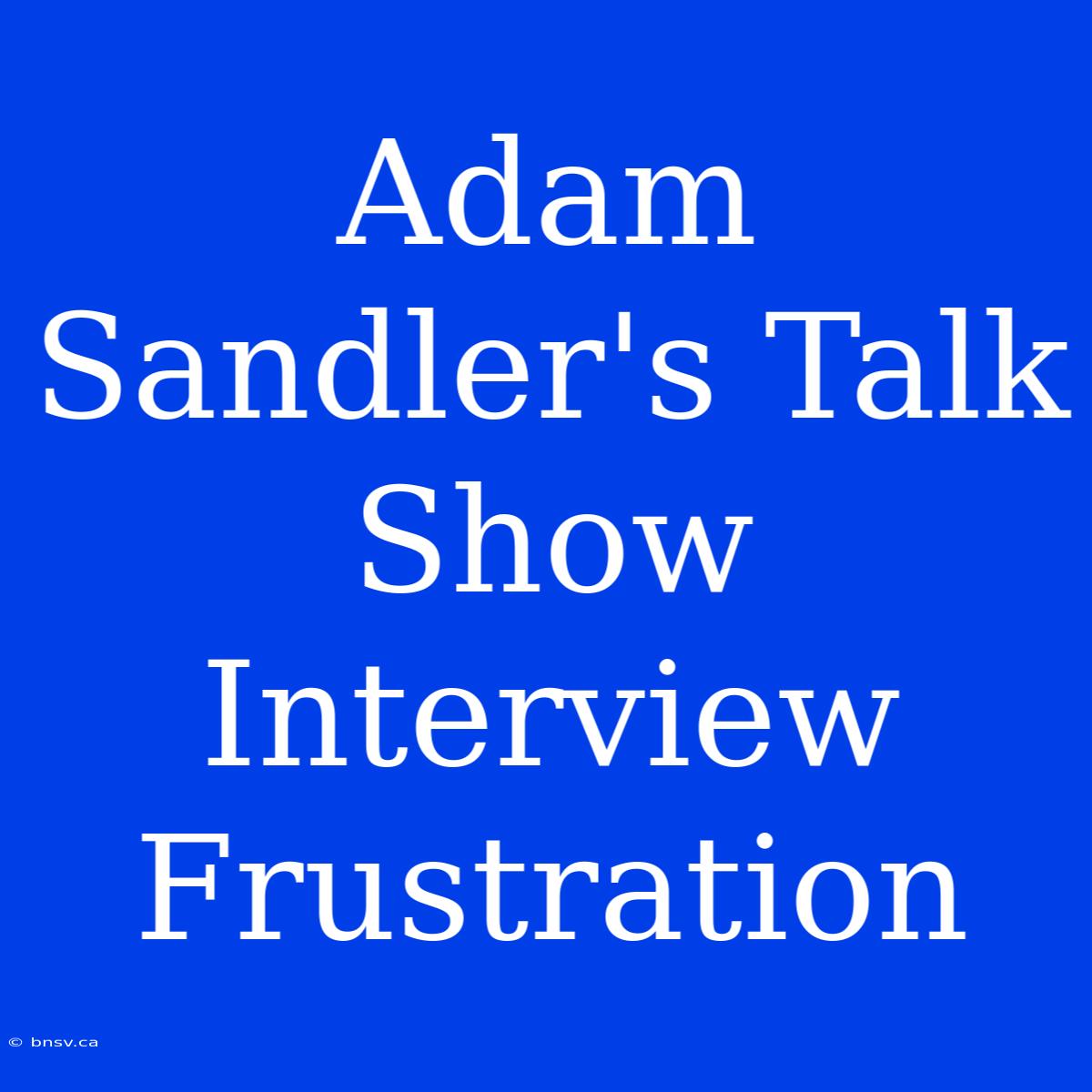 Adam Sandler's Talk Show Interview Frustration