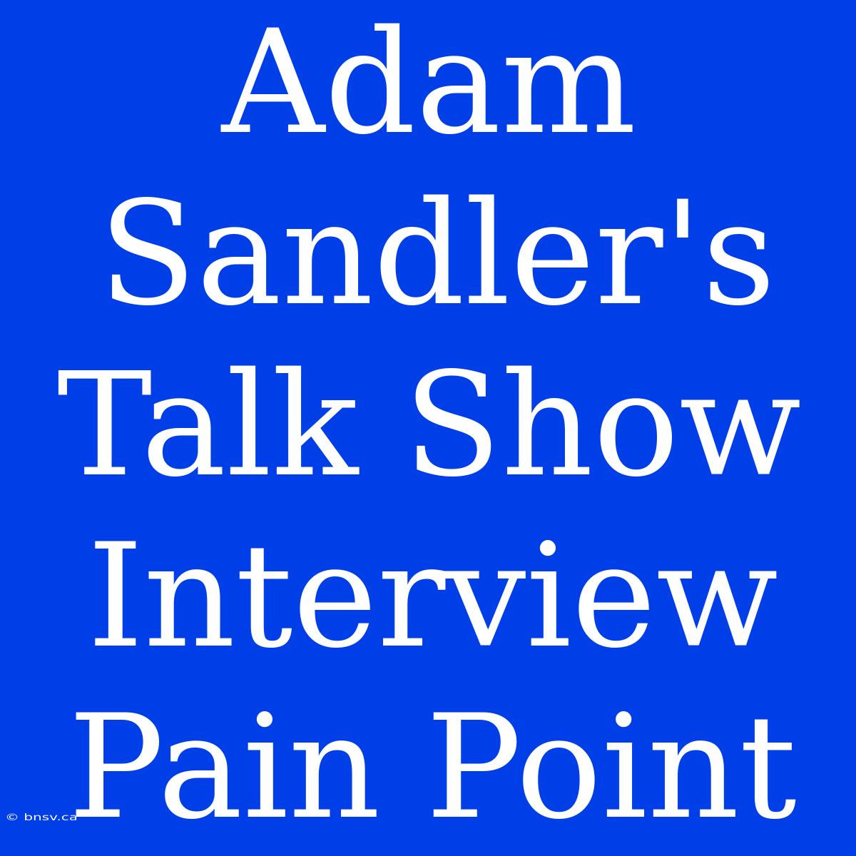 Adam Sandler's Talk Show Interview Pain Point