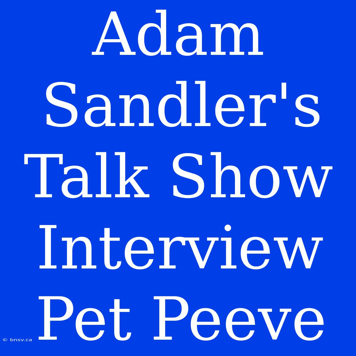 Adam Sandler's Talk Show Interview Pet Peeve