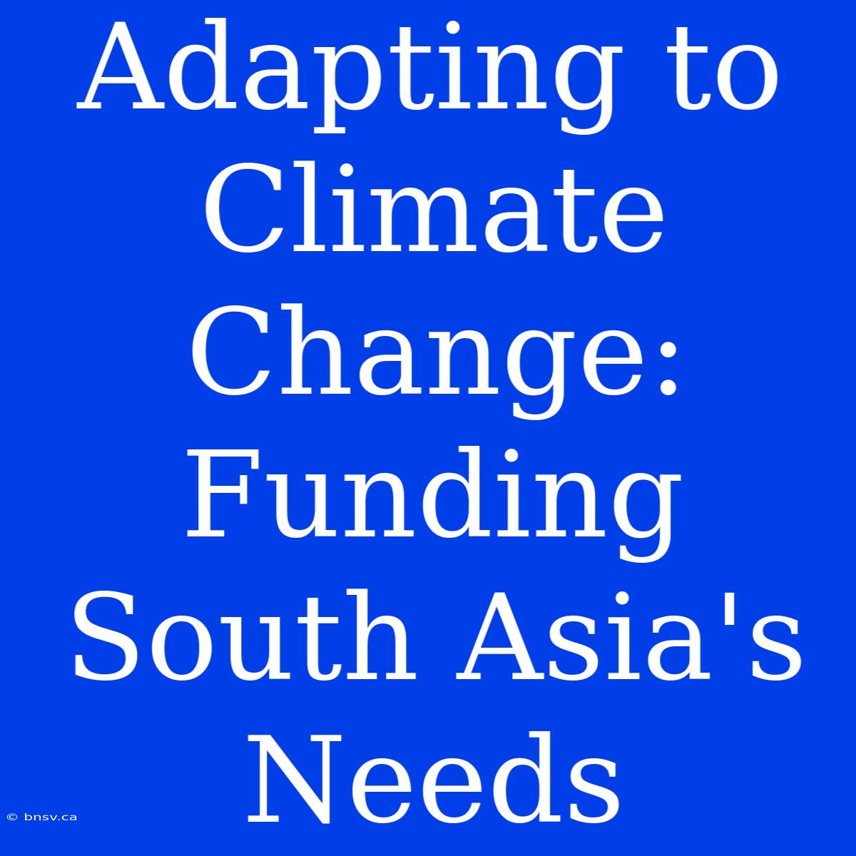 Adapting To Climate Change: Funding South Asia's Needs