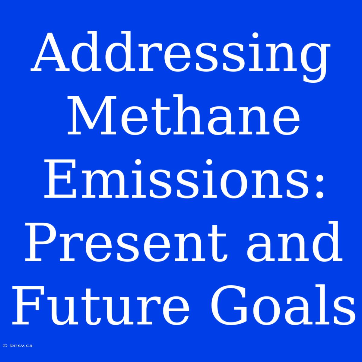 Addressing Methane Emissions: Present And Future Goals