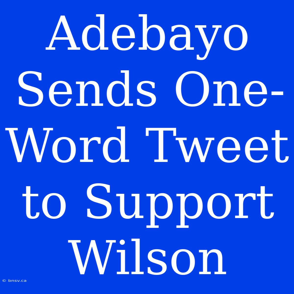 Adebayo Sends One-Word Tweet To Support Wilson