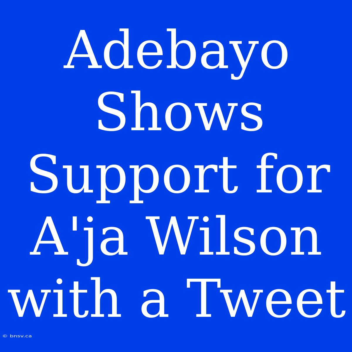 Adebayo Shows Support For A'ja Wilson With A Tweet