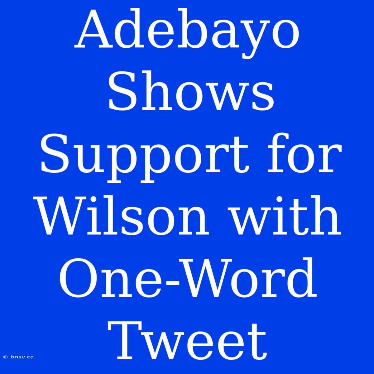 Adebayo Shows Support For Wilson With One-Word Tweet