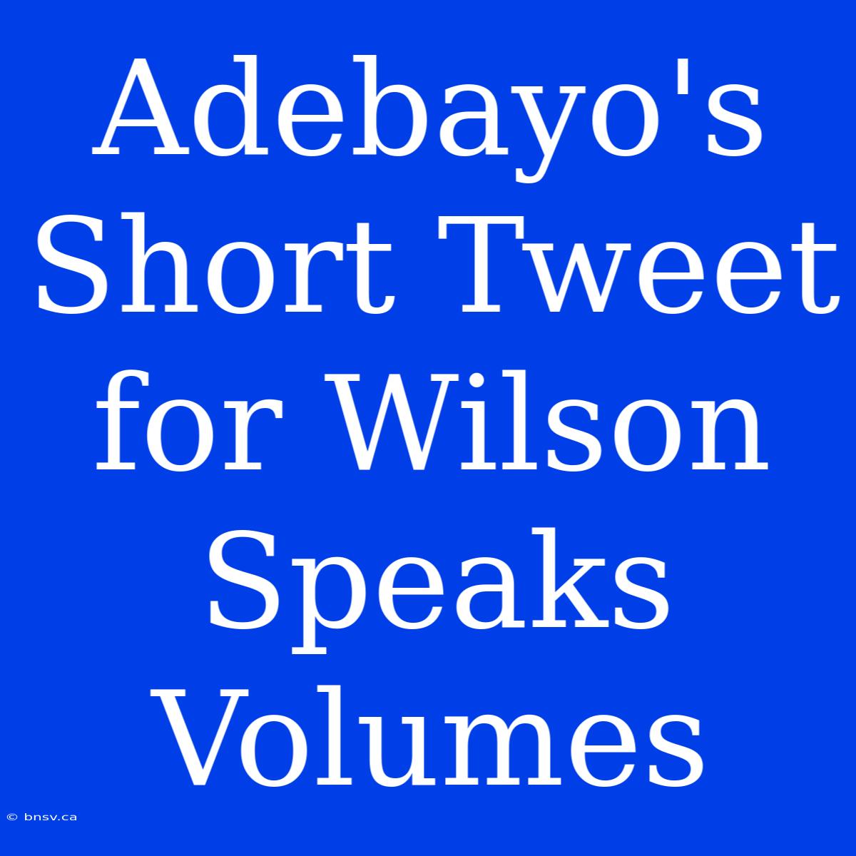 Adebayo's Short Tweet For Wilson Speaks Volumes