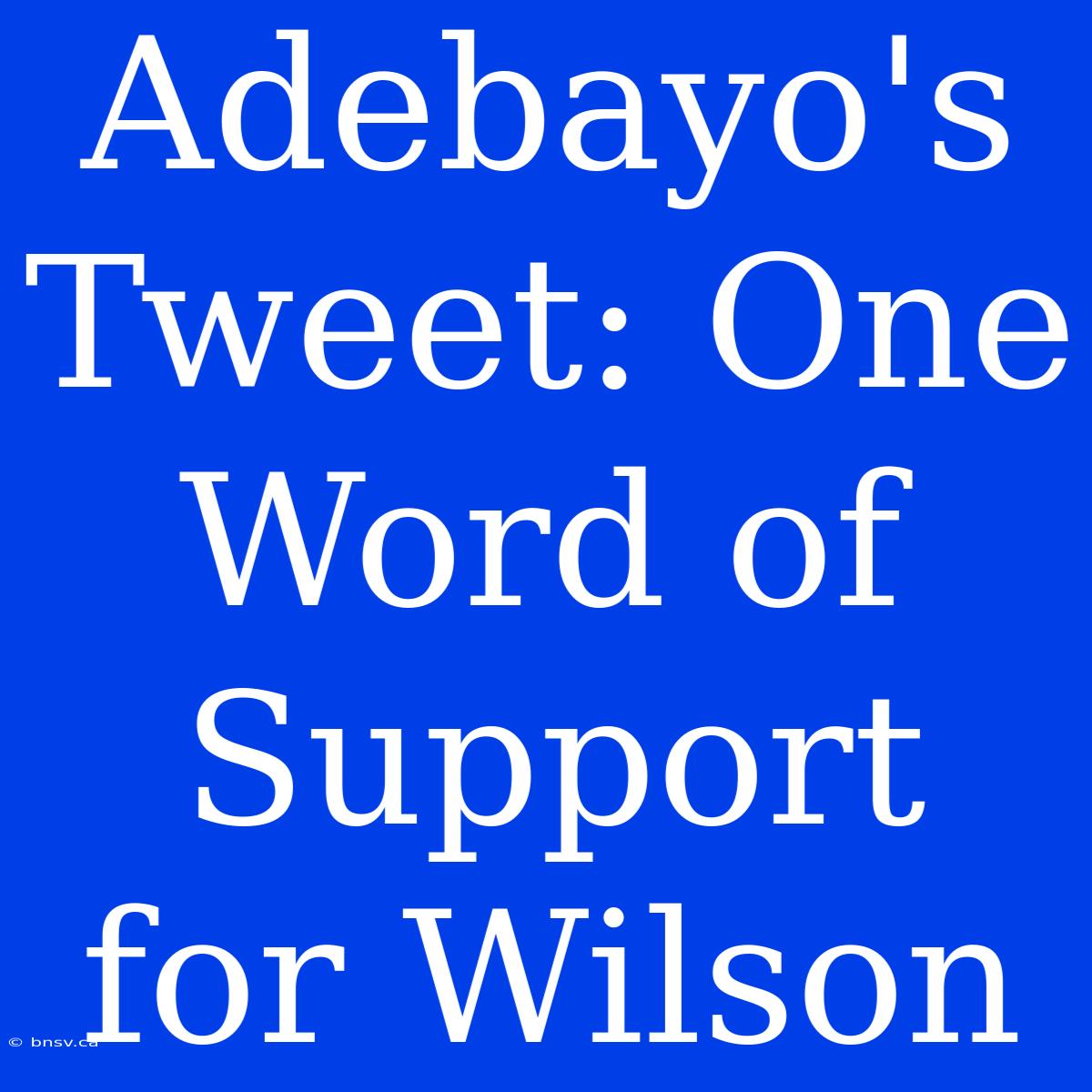 Adebayo's Tweet: One Word Of Support For Wilson