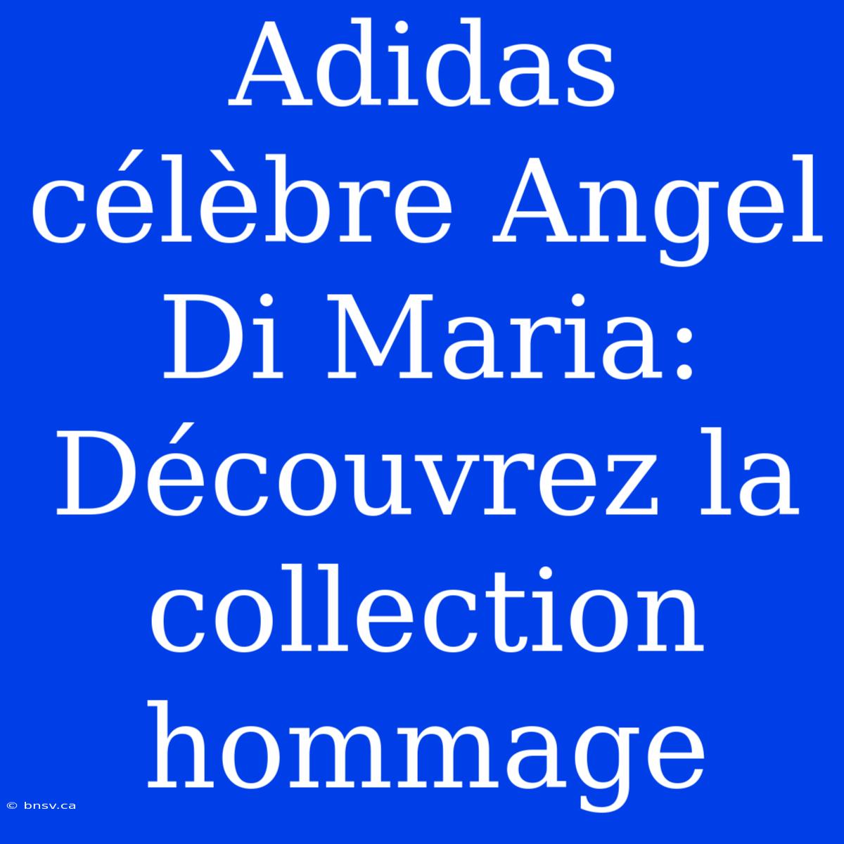 Adidas Célèbre Angel Di Maria: Découvrez La Collection Hommage