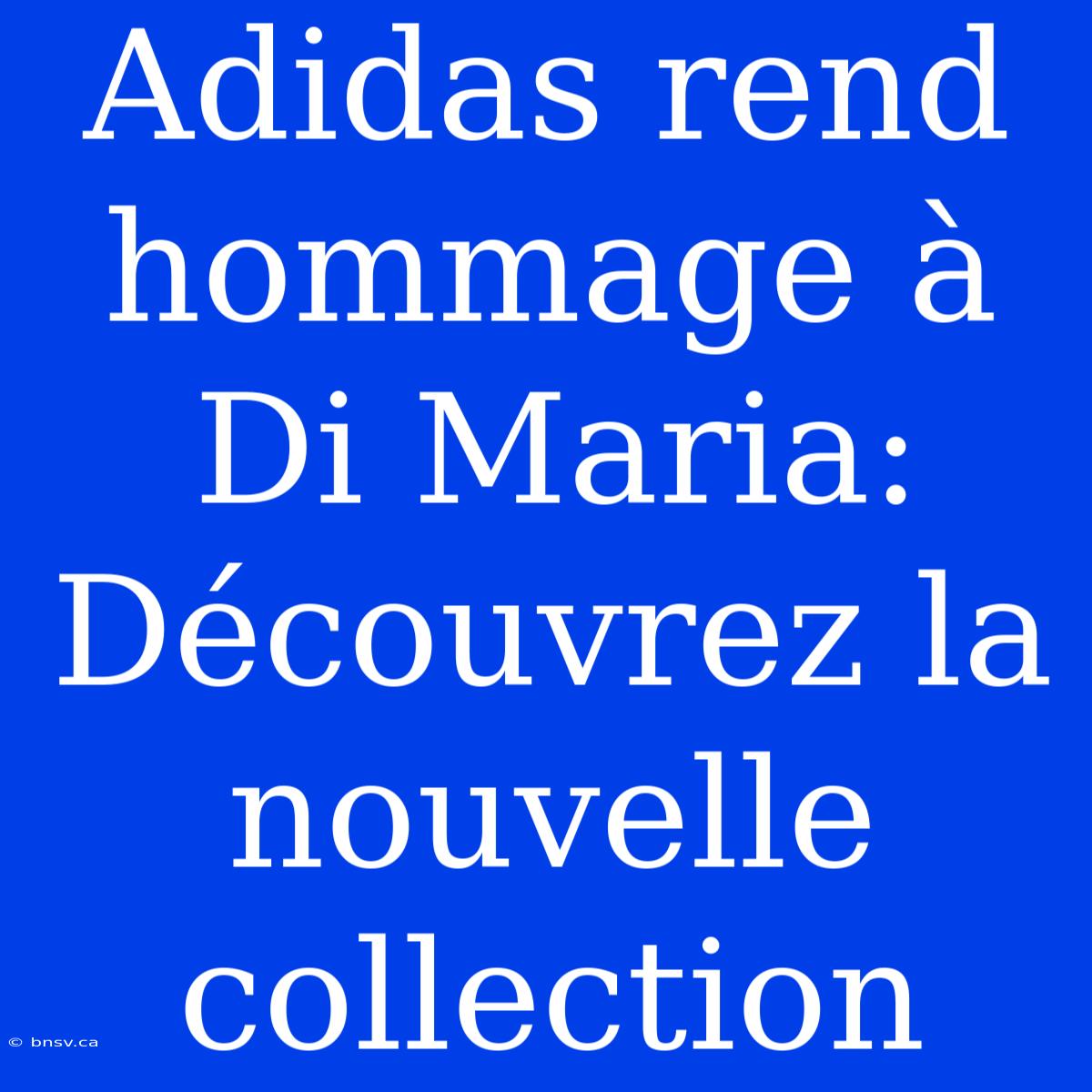 Adidas Rend Hommage À Di Maria: Découvrez La Nouvelle Collection