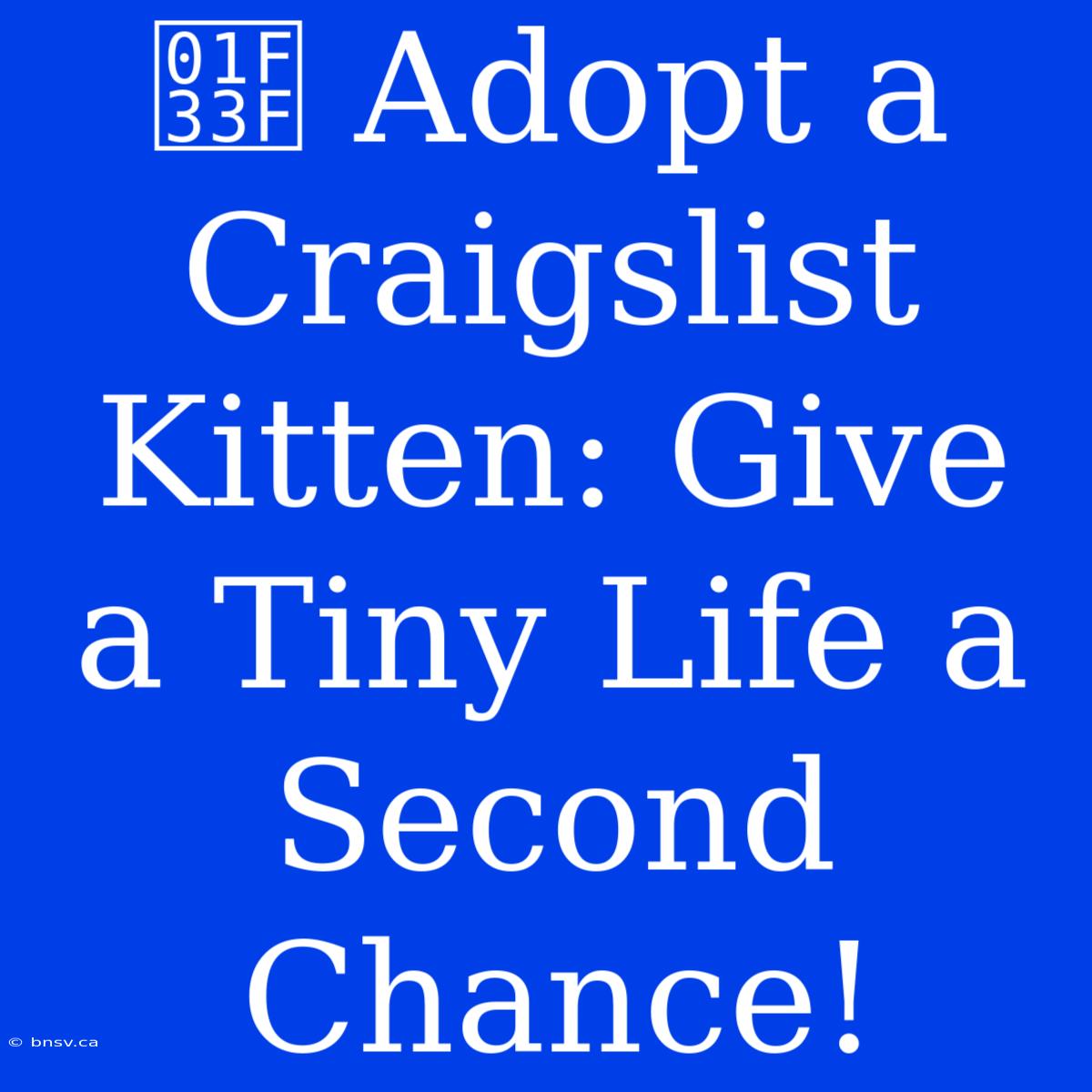 🌿 Adopt A Craigslist Kitten: Give A Tiny Life A Second Chance!